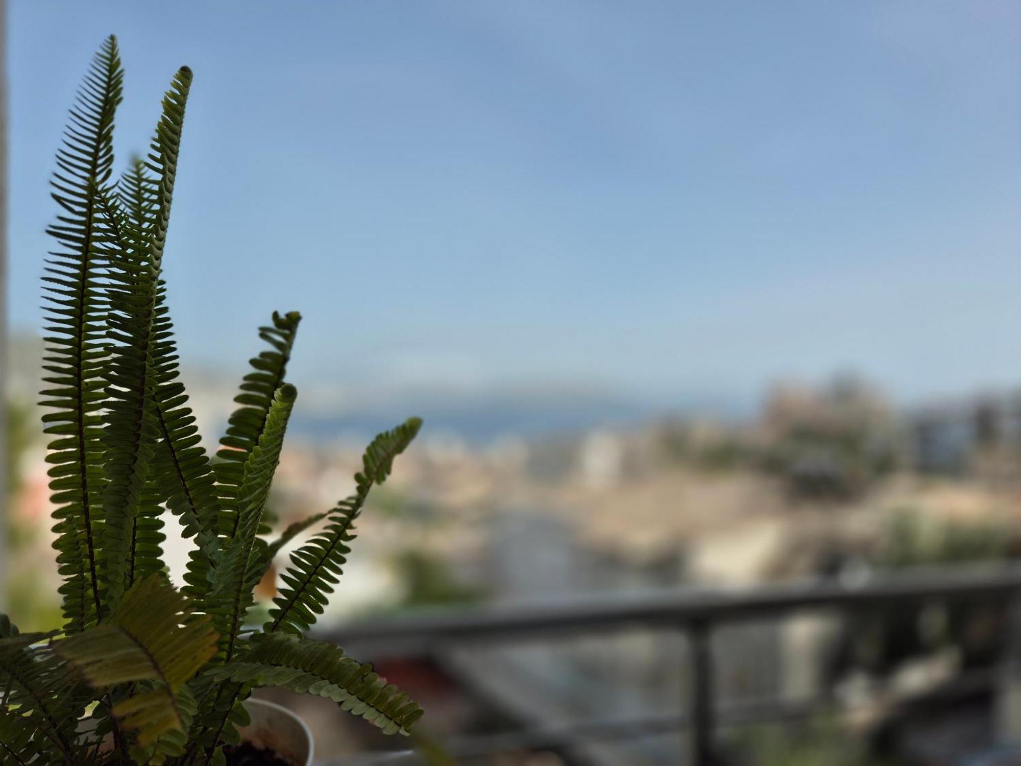 Vila Roxhest Saranda Dış mekan fotoğraf